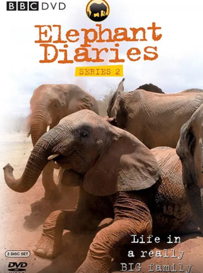 大象日记 第二季