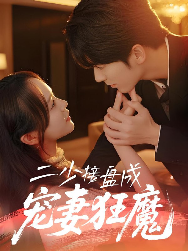二少接盘成宠妻狂魔