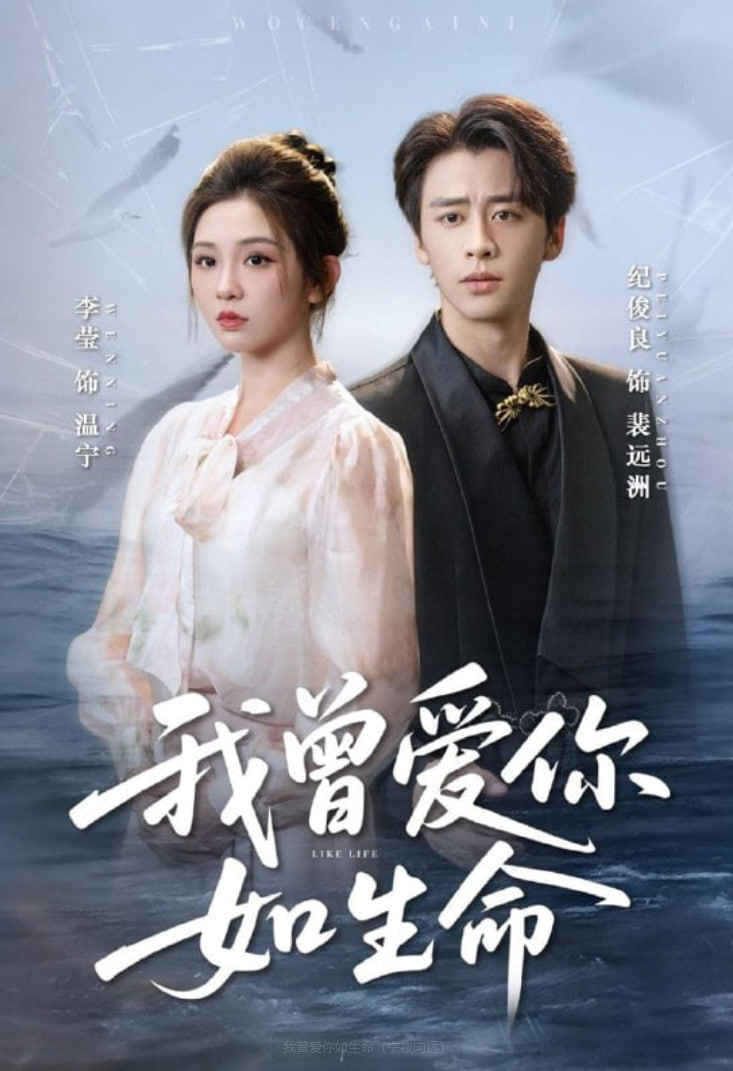 我曾爱你如生命（宁夜向远）