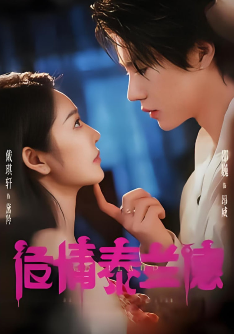 危情泰兰德 2025