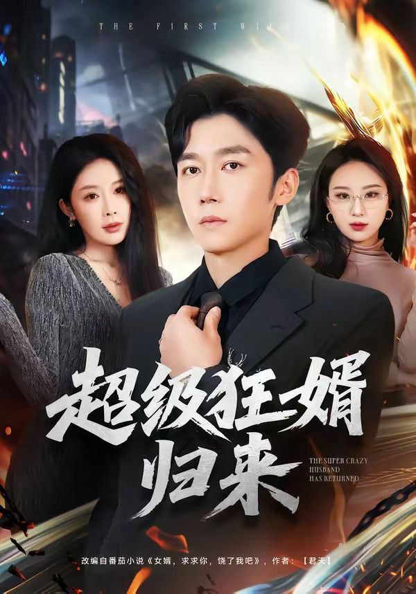 超级狂婿归来