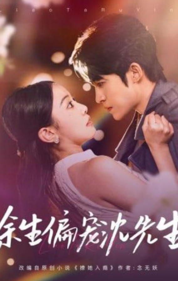 余生偏宠沈先生