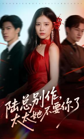 陆总别作，太太她不要你了