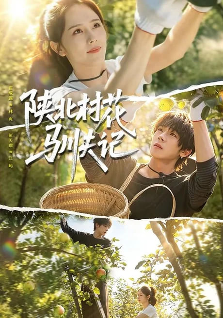 陕北村花驯夫记